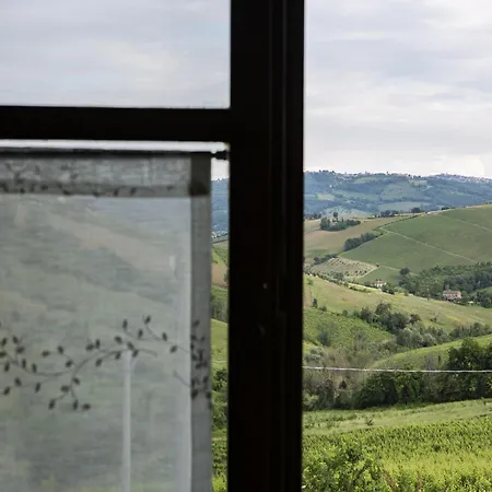 In Marche With Pool & Verdicchio Wines דירה Montecarotto
