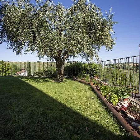 In Marche With Pool & Verdicchio Wines *
