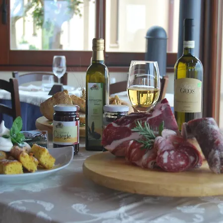 In Marche With Pool & Verdicchio Wines Montecarotto