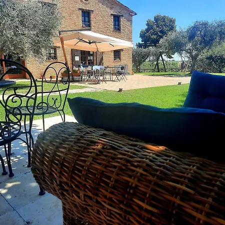 In Marche With Pool & Verdicchio Wines דירה Montecarotto